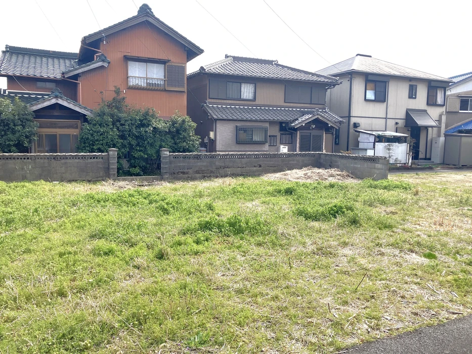 画像1000