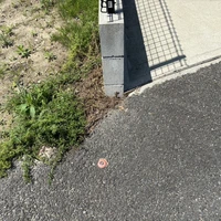 画像1139
