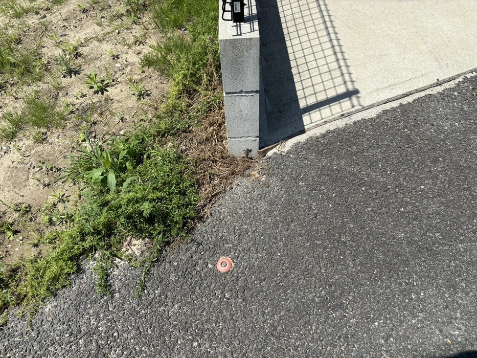 画像1139