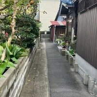 画像236