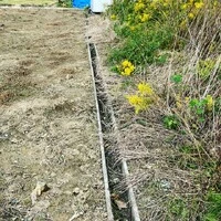 画像241