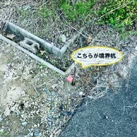 画像242