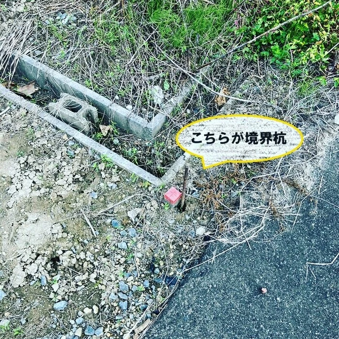 画像242