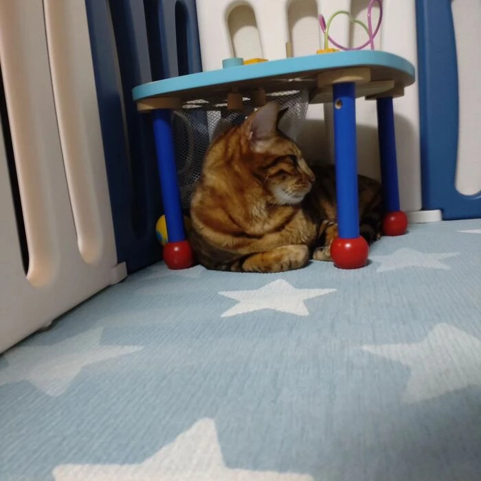 画像329
