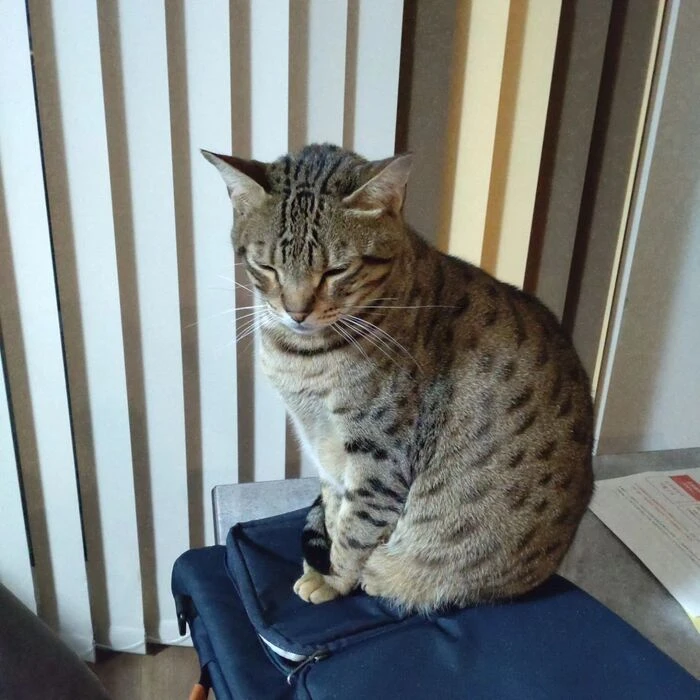 画像330