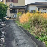 画像339