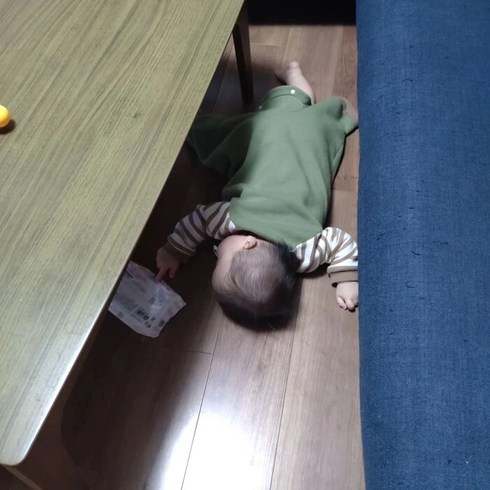 画像342