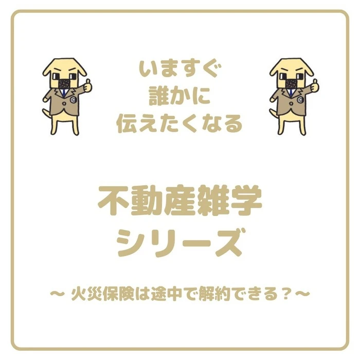 画像375