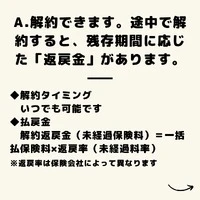 画像377