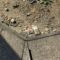 画像390