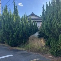 画像408