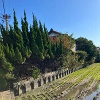 画像409