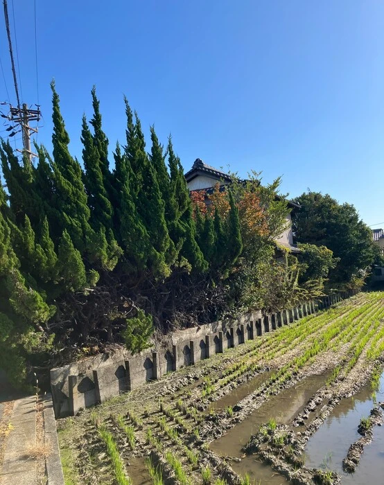 画像409