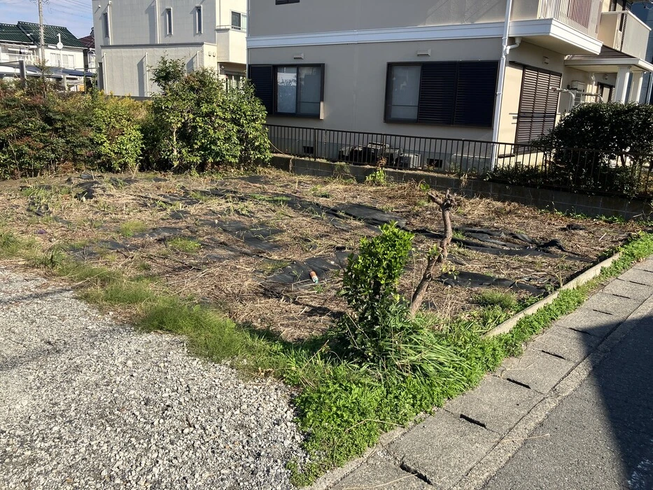 画像417