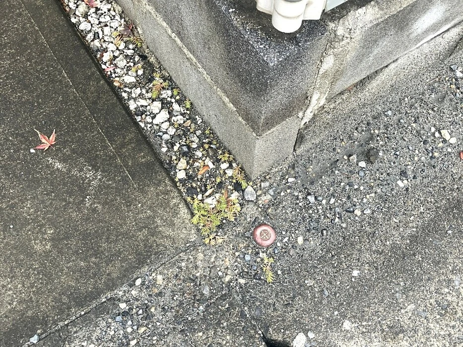 画像500