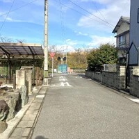 画像527