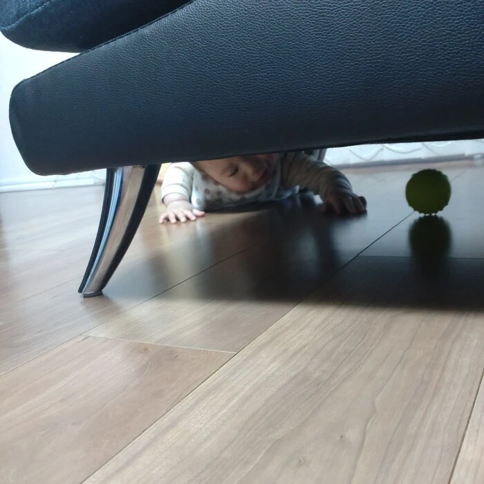 画像555