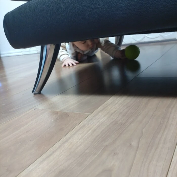 画像556