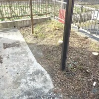画像564