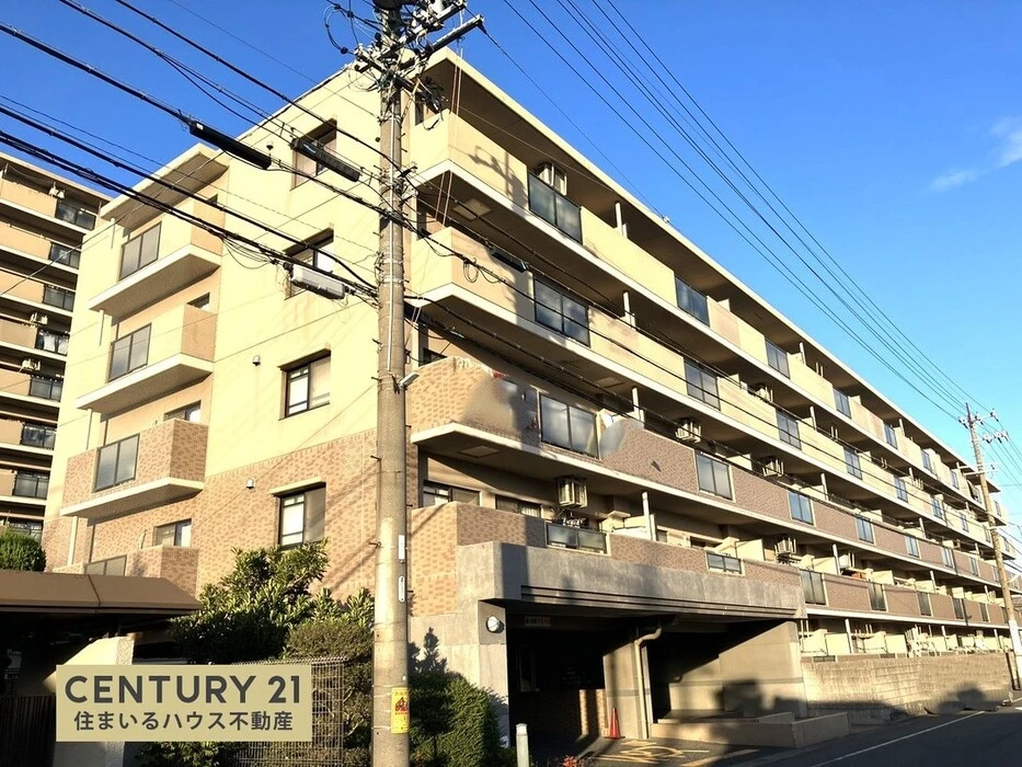 画像592