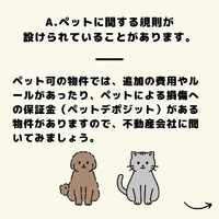 画像605
