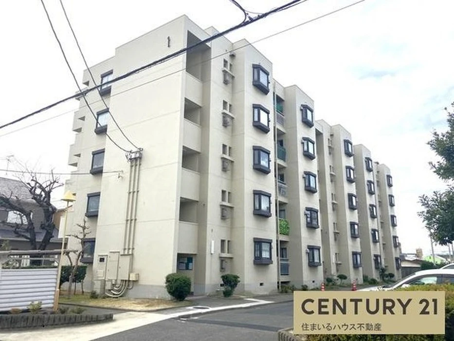画像608