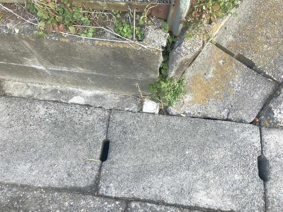 画像666