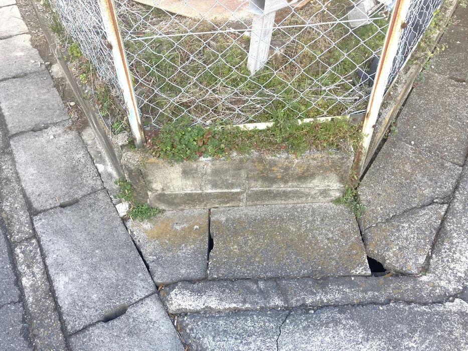 画像667