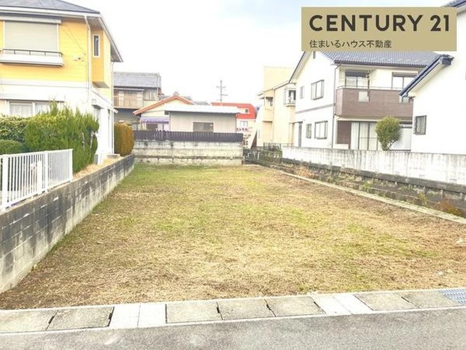 画像736