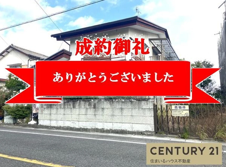 画像817