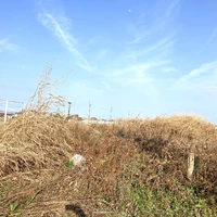 画像821