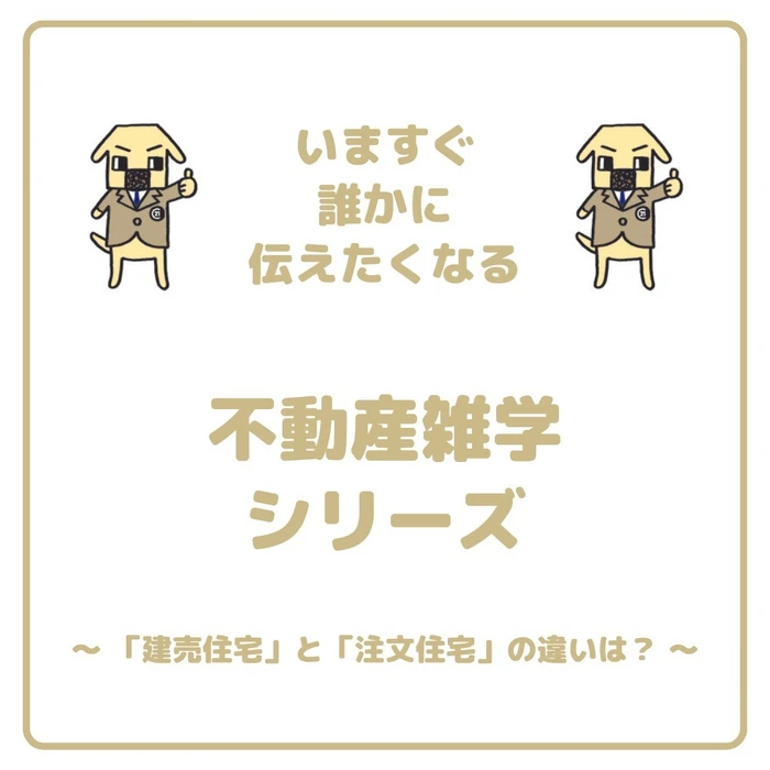 画像958